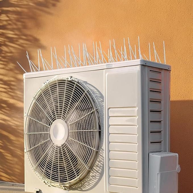 Pigeon Control Spikes (Set of 10)